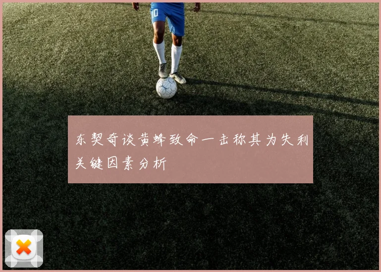 东契奇谈黄蜂致命一击称其为失利关键因素分析